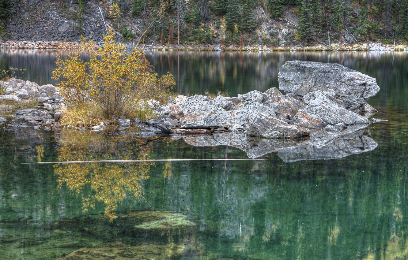 Фото обои осень, деревья, озеро, камни, куст