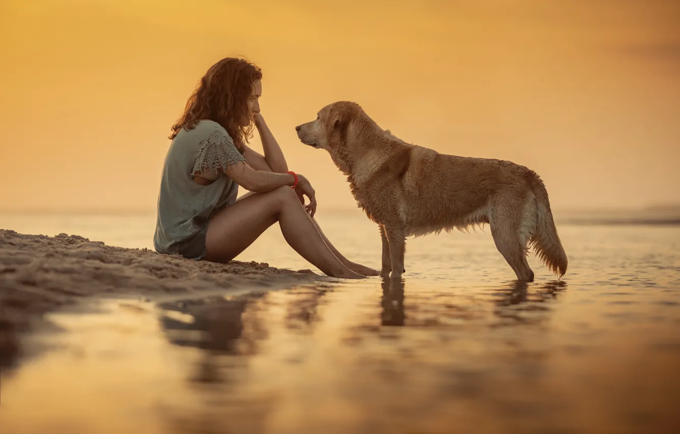 Фото обои девушка, собака, girl, dog, Alexandre Marques