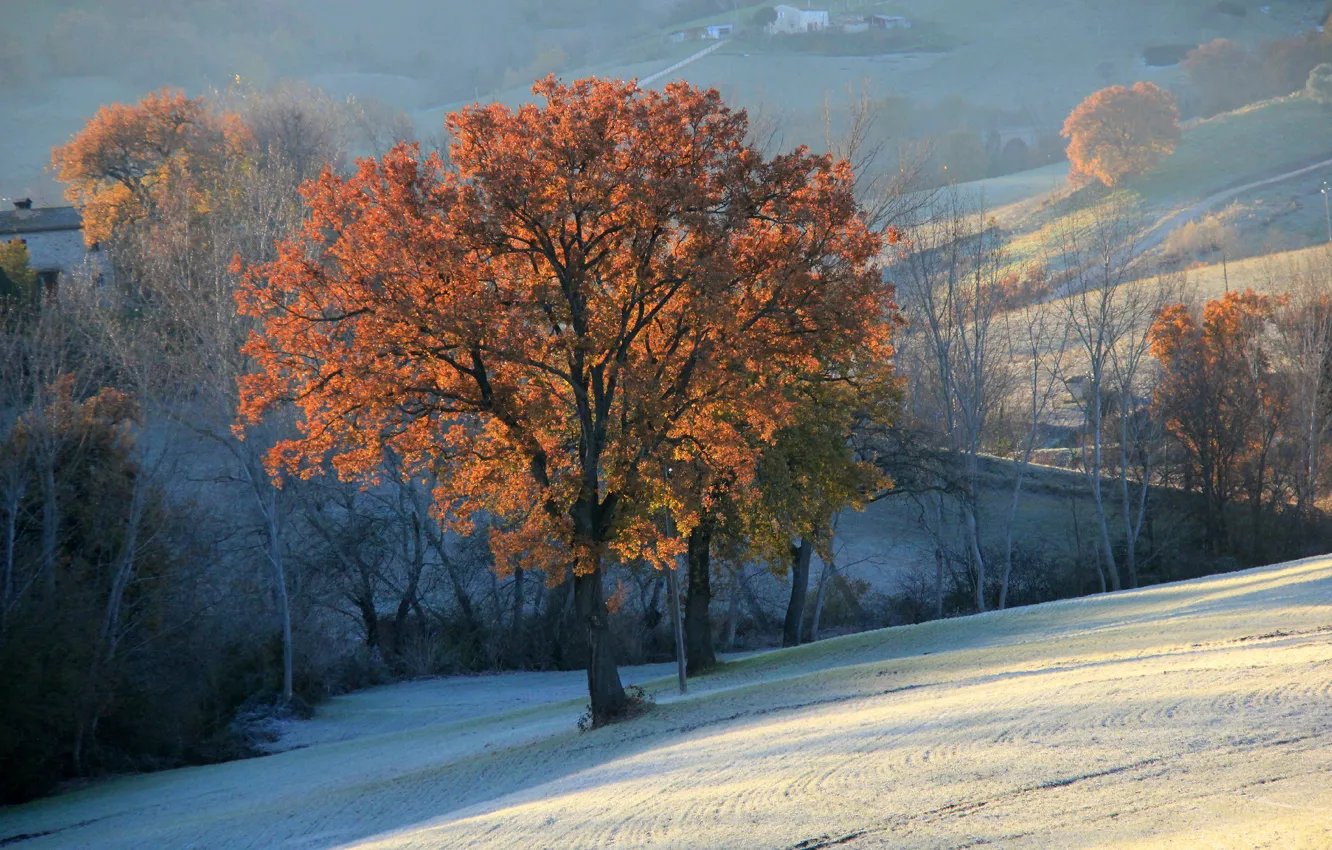 Фото обои осень, снег, деревья, горы, холмы, поля, дымка