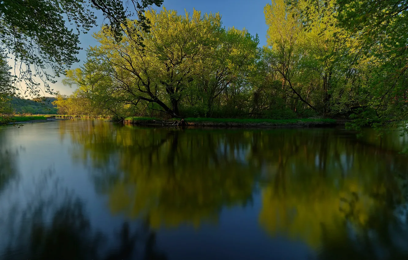 Фото обои зелень, деревья, отражение, река, Висконсин, Wisconsin, La Crosse River, Река Ла-Кросс