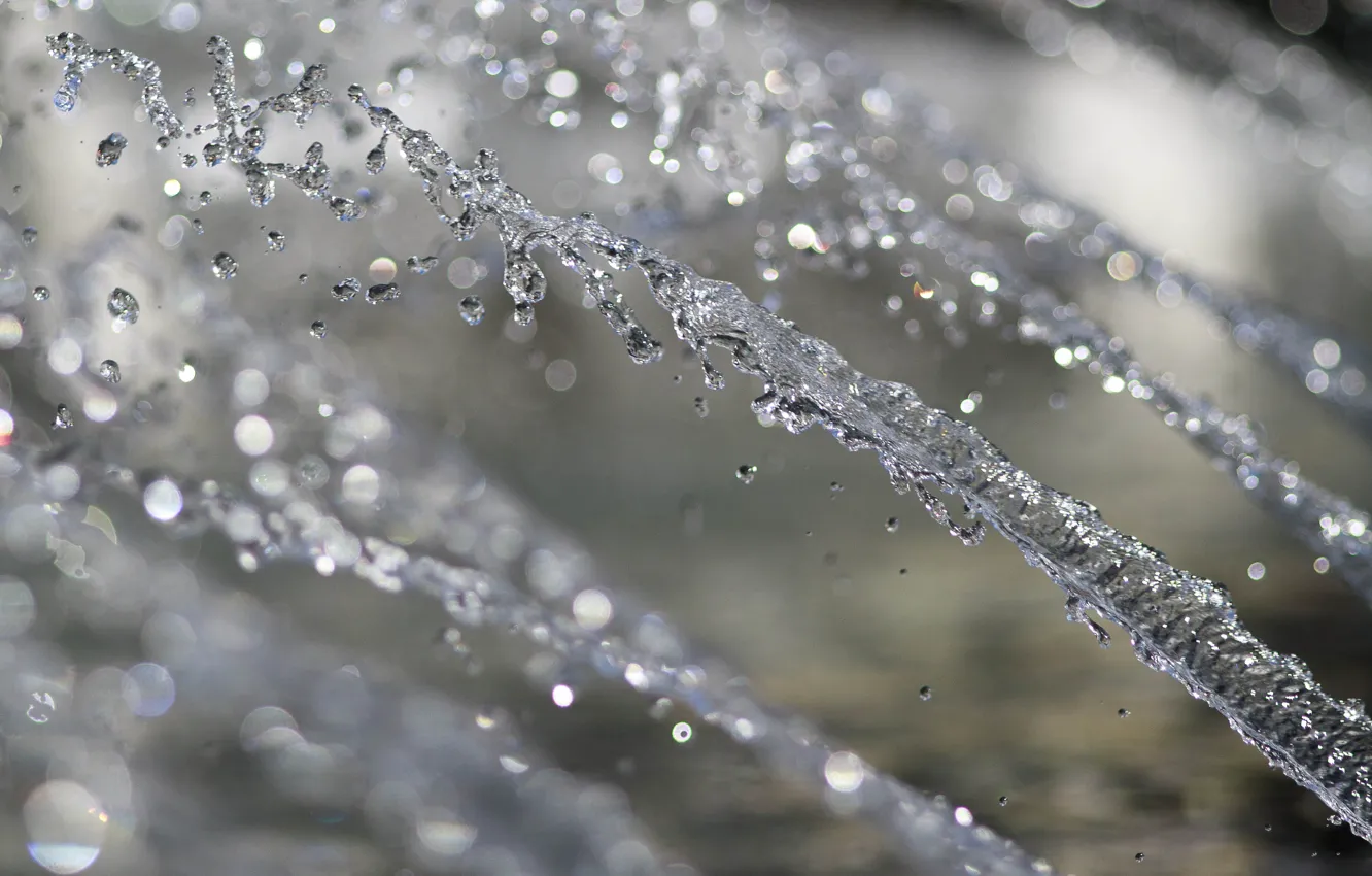 Фото обои Макро, Вода, Капли, Water, Боке, Bokeh, Macro, Drops