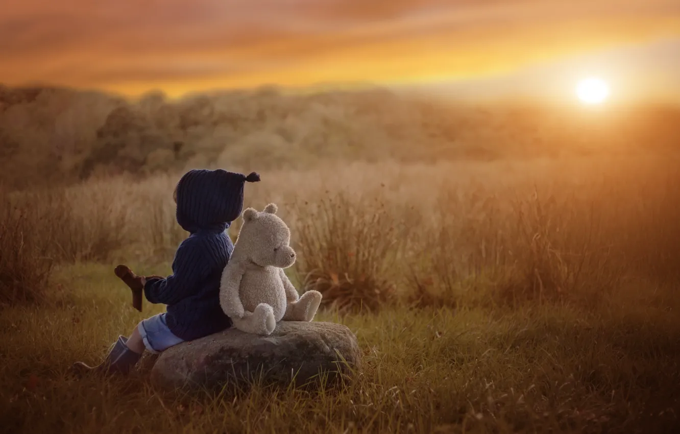 Фото обои осень, закат, камень, игрушка, мальчик, медведь, ребёнок, плюшевый мишка