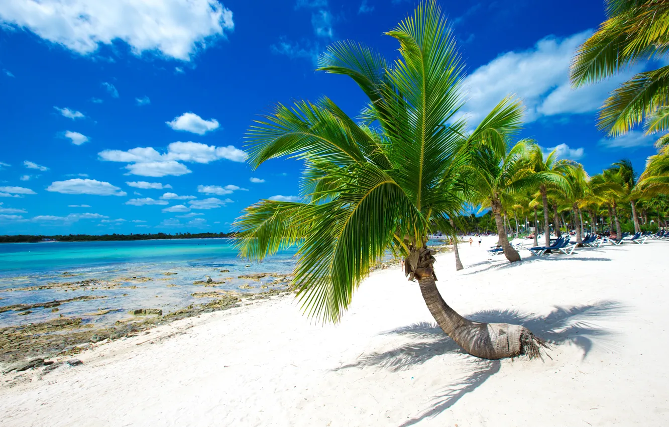 Фото обои песок, море, пляж, небо, солнце, облака, тропики, пальмы
