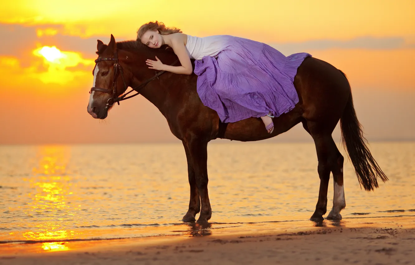 Фото обои море, девушка, закат, побережье, лошадь