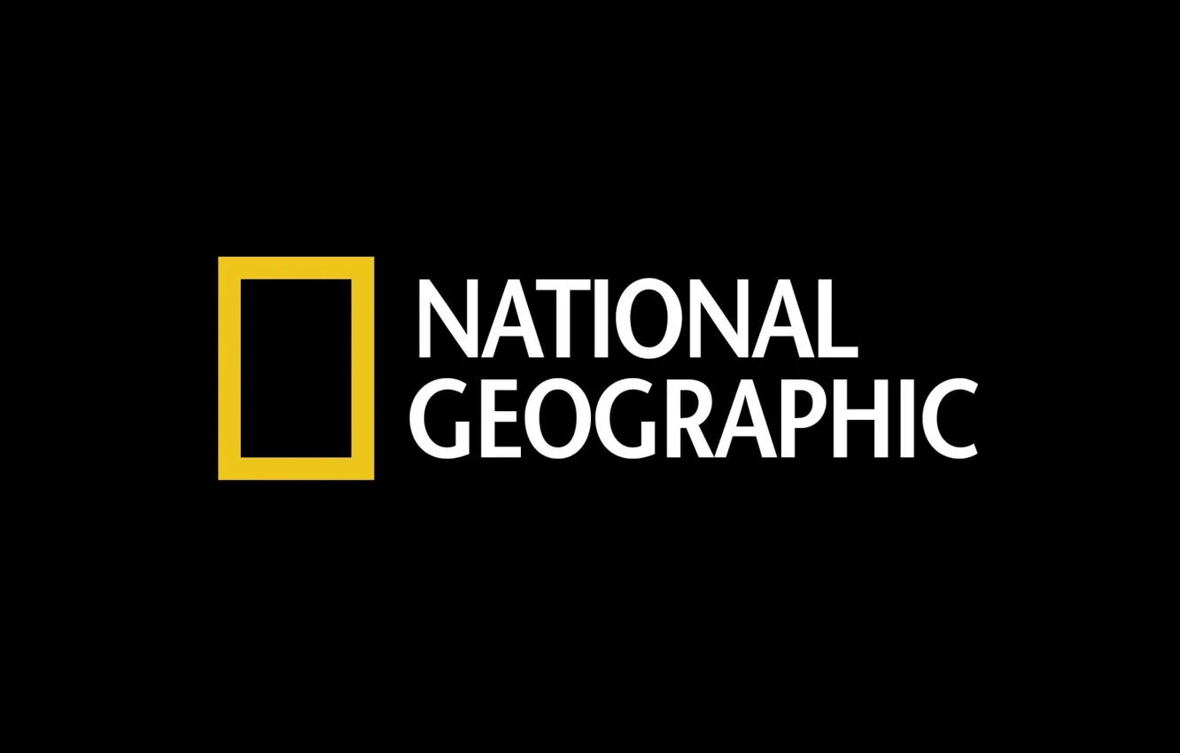 Фото обои логотип, logo, National geographic, телеканал