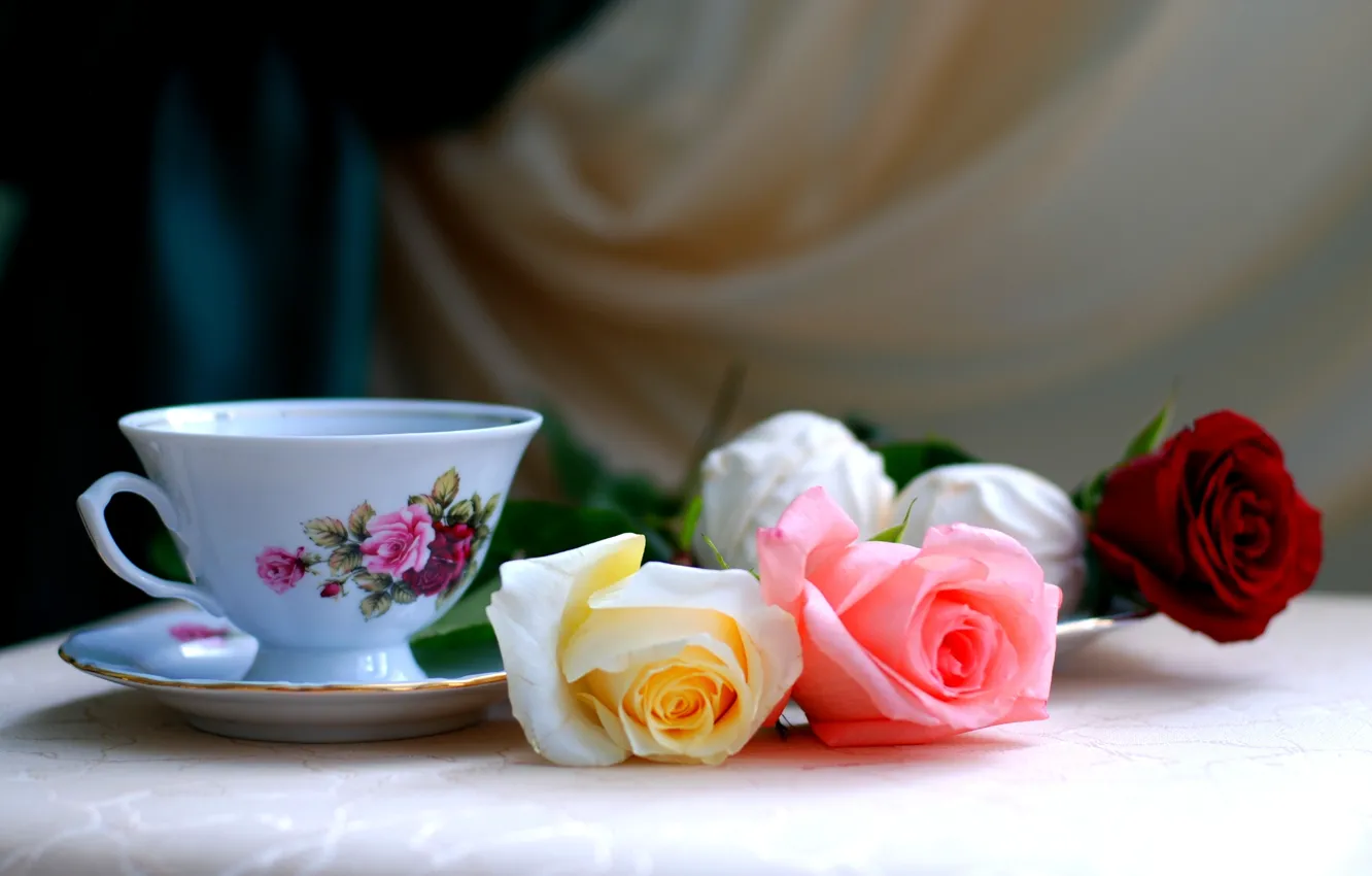 Фото обои розы, Три, чашка, зефир