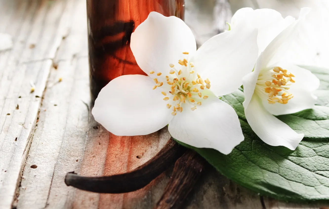 Фото обои цветы, лепестки, spa