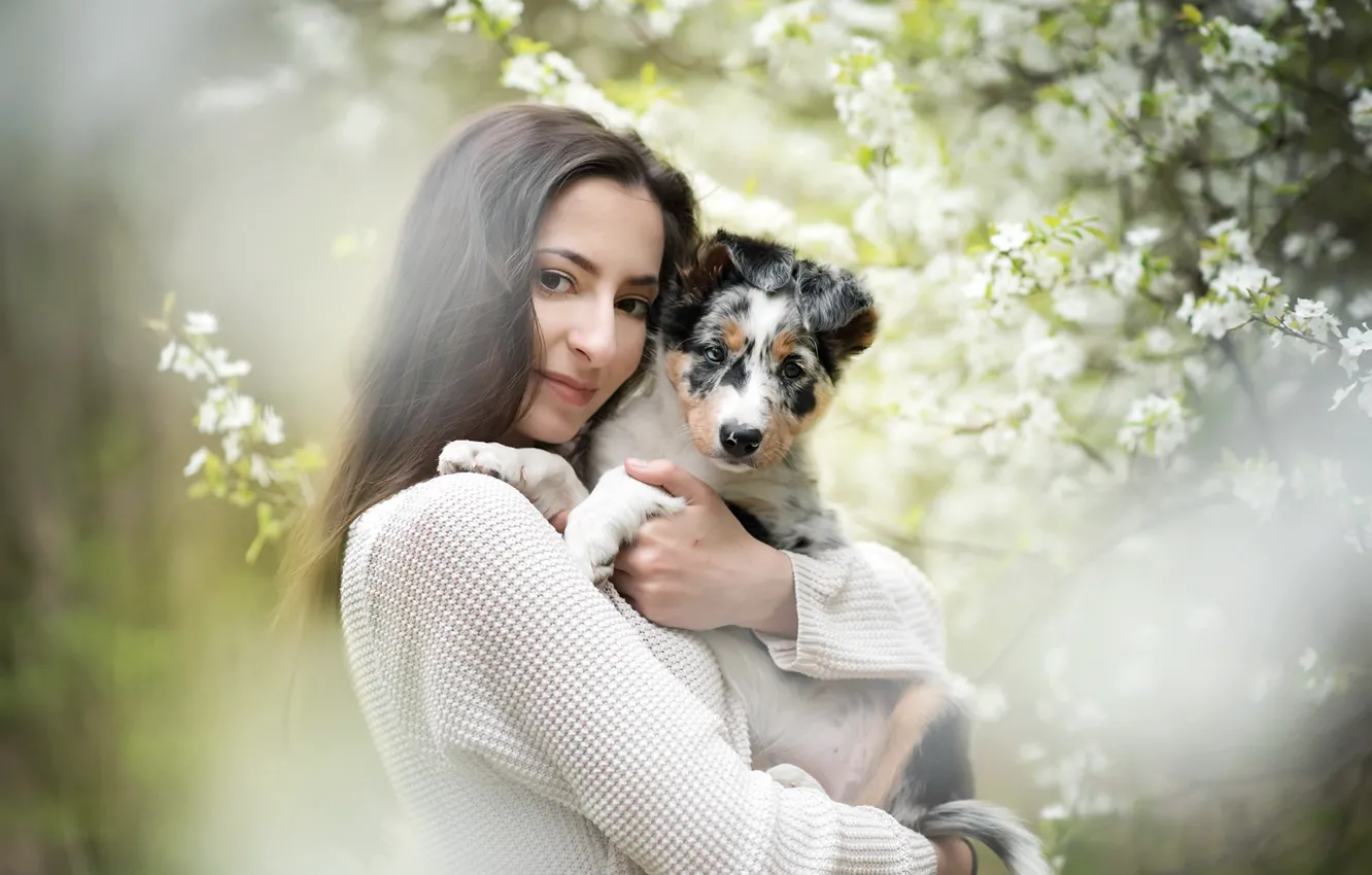 Фото обои девушка, собака, весна