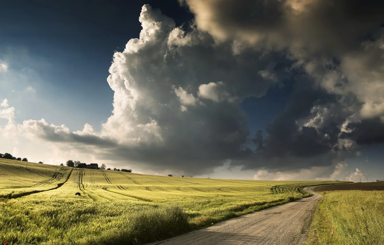 Фото обои дорога, поле, небо, пейзаж
