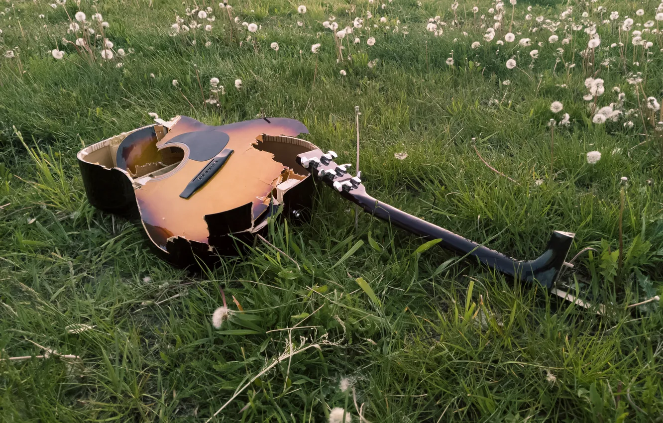 Фото обои трава, оранжевый, дерево, одуванчик, green, гитара, зелёный, guitar