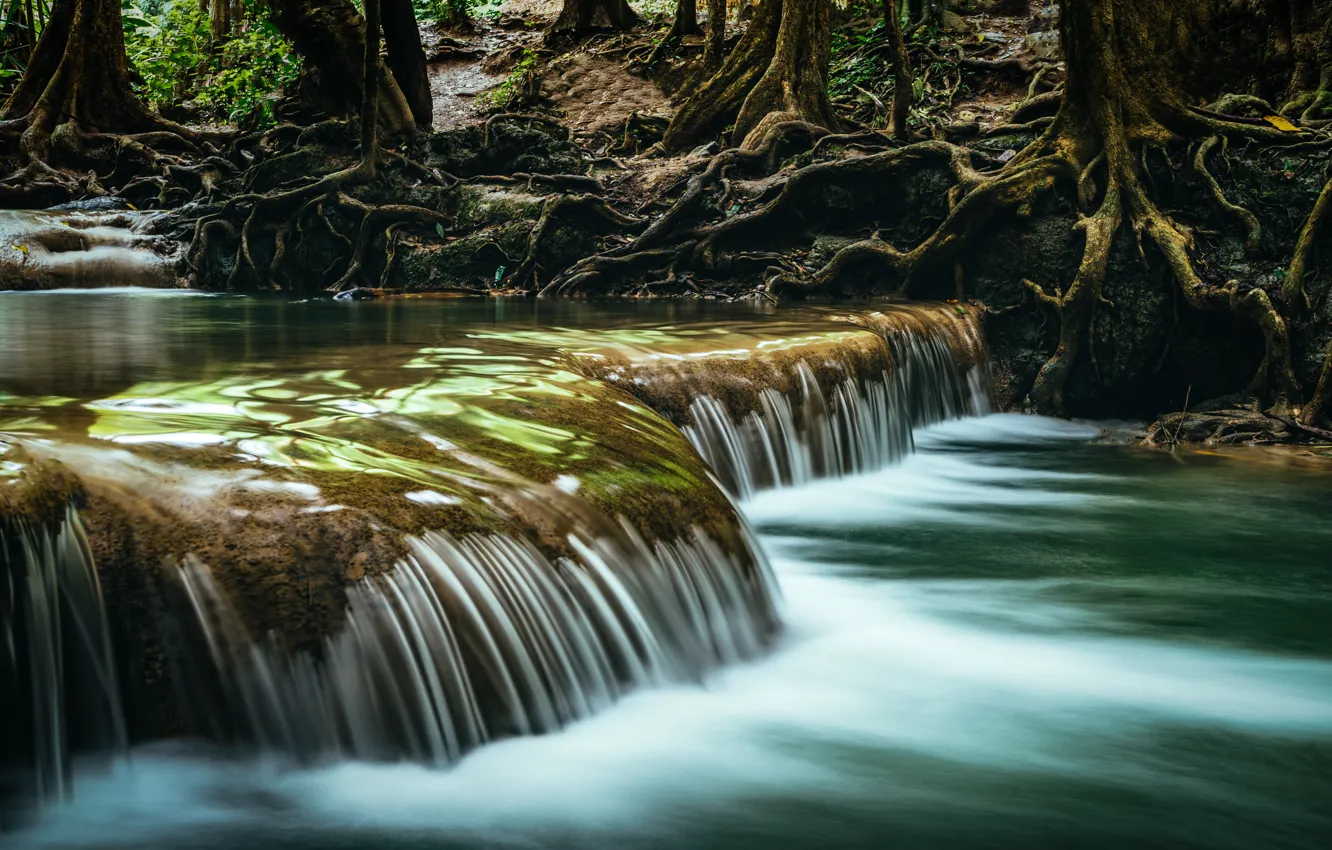 Фото обои лес, пейзаж, река, скалы, водопад, summer, forest, тропический