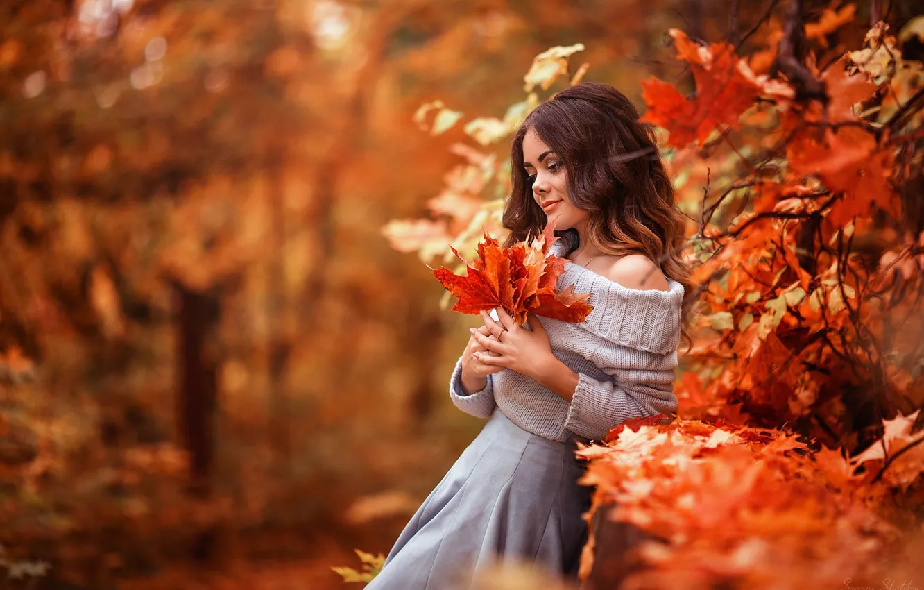 Фото обои осень, взгляд, листья, девушка, природа, поза, парк, настроение
