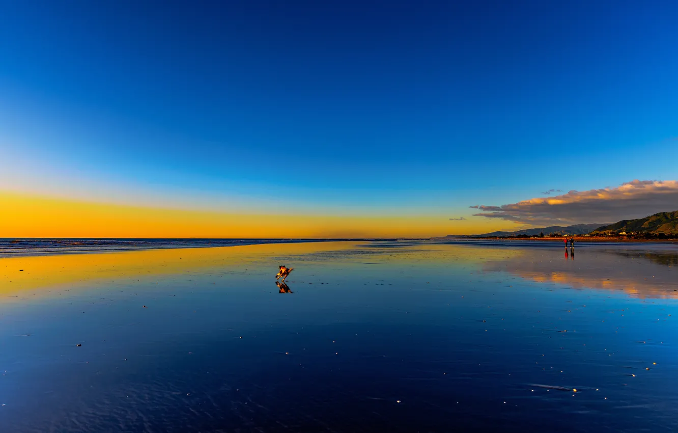 Фото обои море, небо, облака, люди, краски, берег, собака, отлив