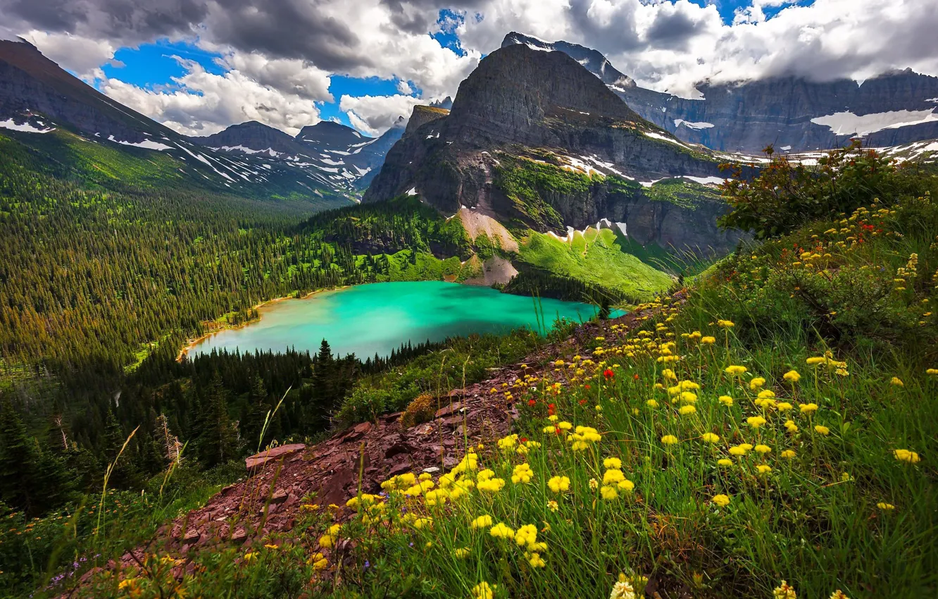 Фото обои облака, пейзаж, цветы, горы, природа, озеро, склон, леса