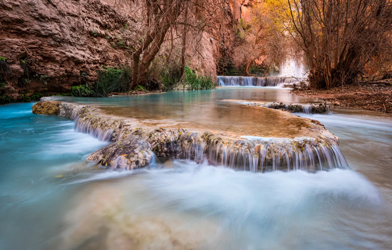 Фото обои деревья, ручей, скалы, водопад, каньон, США, каскад, Arizona