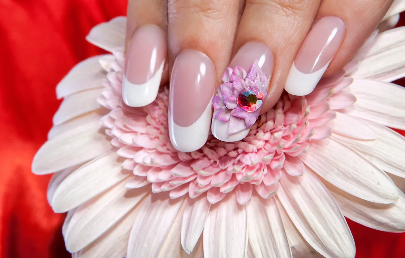 Фото обои белый, цветок, макро, красный, фон, пальцы, украшение, ногти