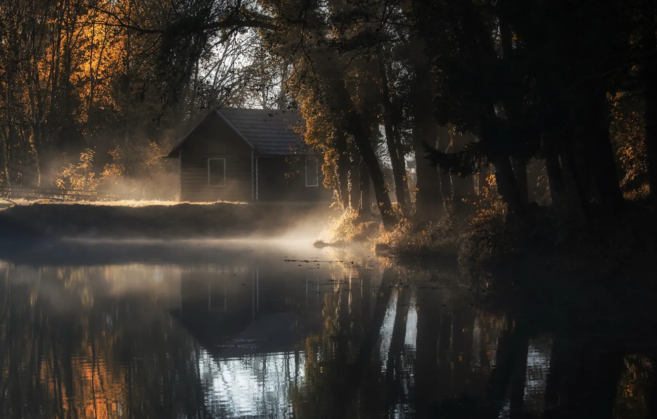 Фото обои осень, туман, дом, пруд, утро