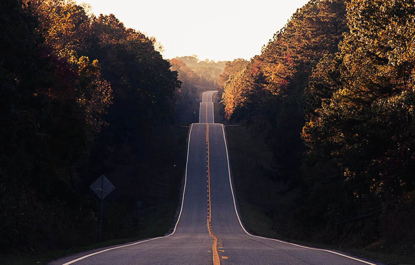 Фото обои дорога, осень, лес, асфальт, шоссе, forest, Долина, road