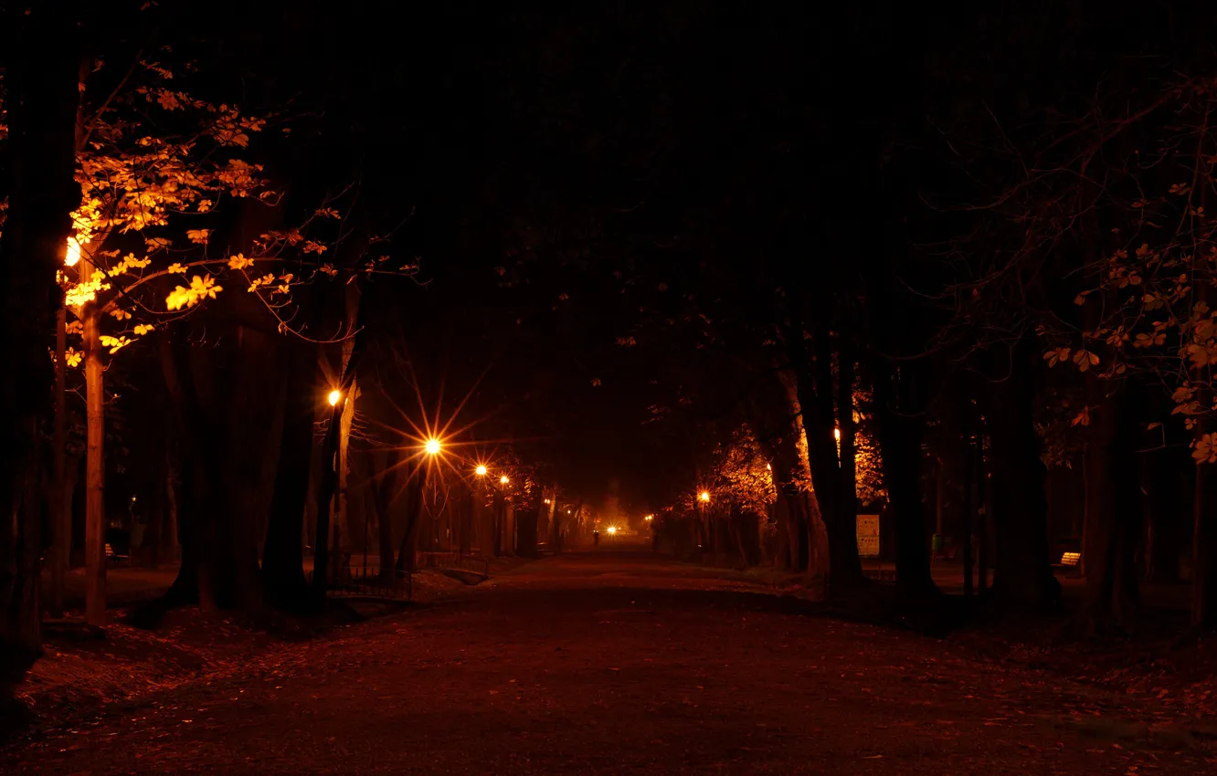 Фото обои дорога, свет, деревья, ночь, огни, города, дерево, настроение