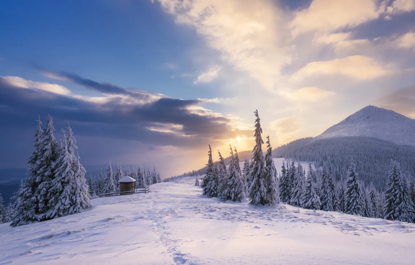 Фото обои зима, лес, небо, солнце, облака, снег, пейзаж, горы