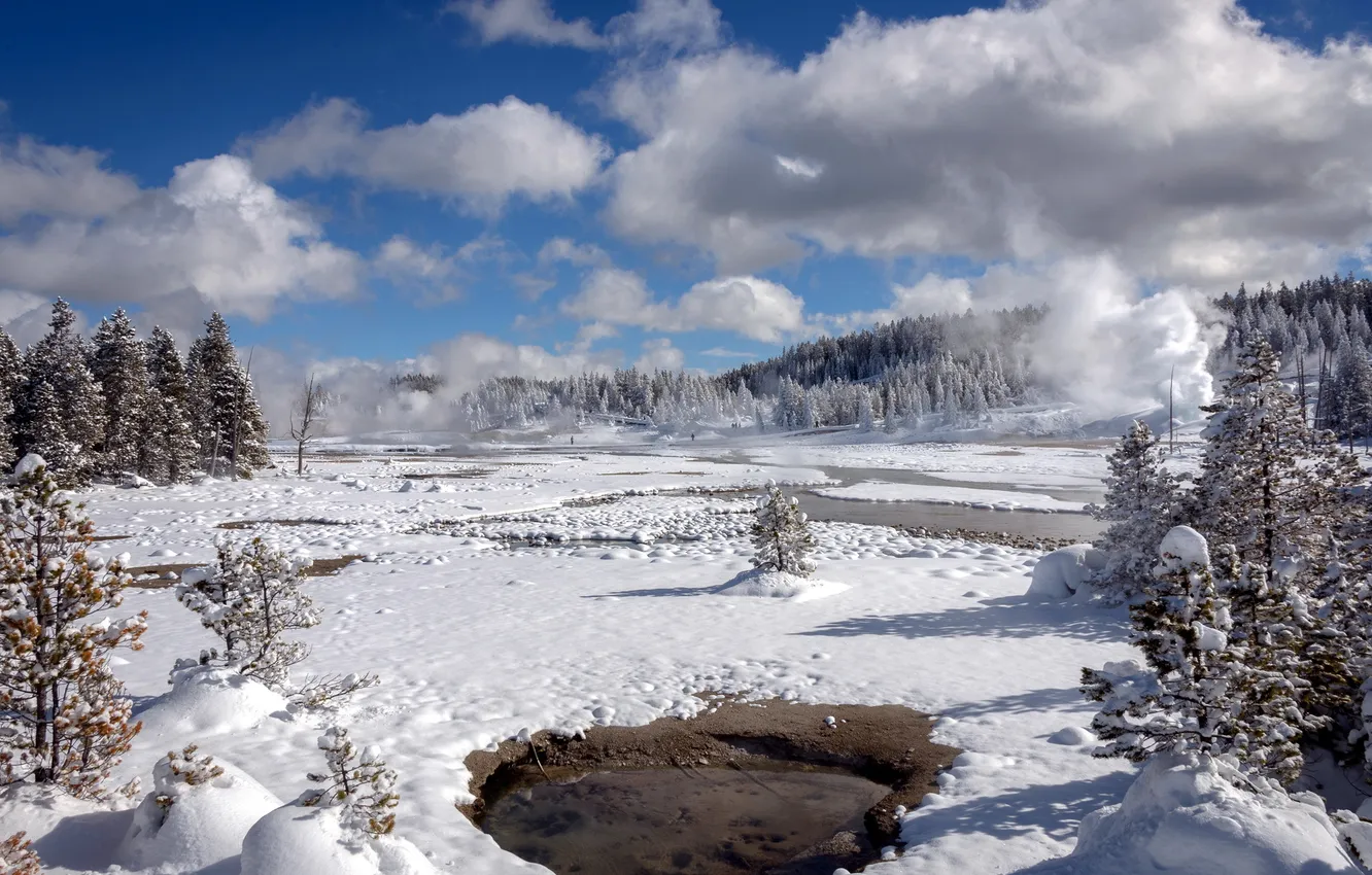 Фото обои landscape, winter, Yellowstone National Park, Norris Geyser Basin