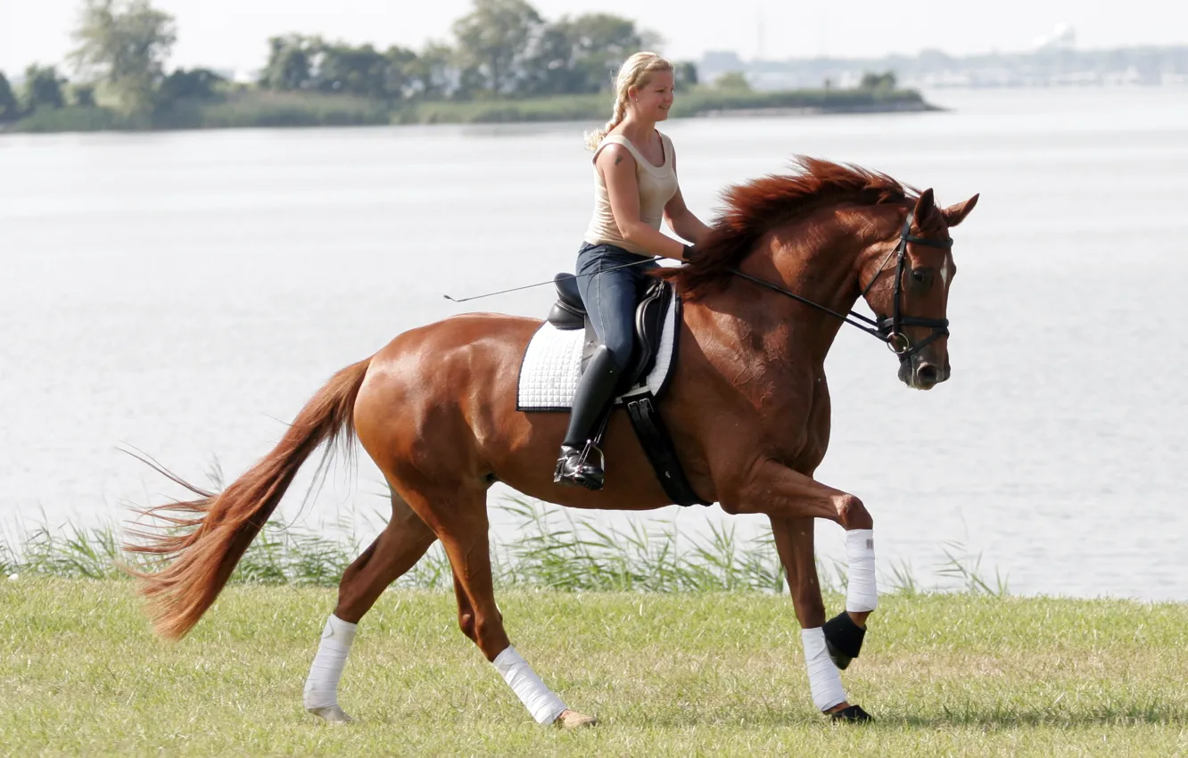 Фото обои girl, horse, sports