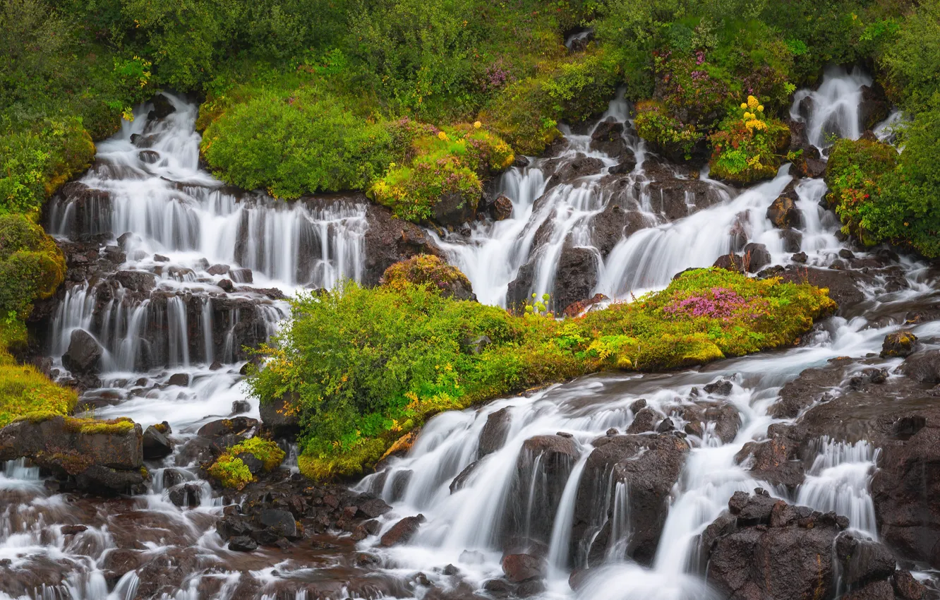 Фото обои водопады, каскад, Исландия, Iceland, Hraunfossar, Хрёйнфоссар