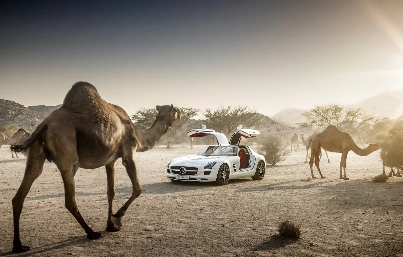 Фото обои Mercedes-Benz, Sky, AMG, Sun, SLS, White, Supercar, Desert