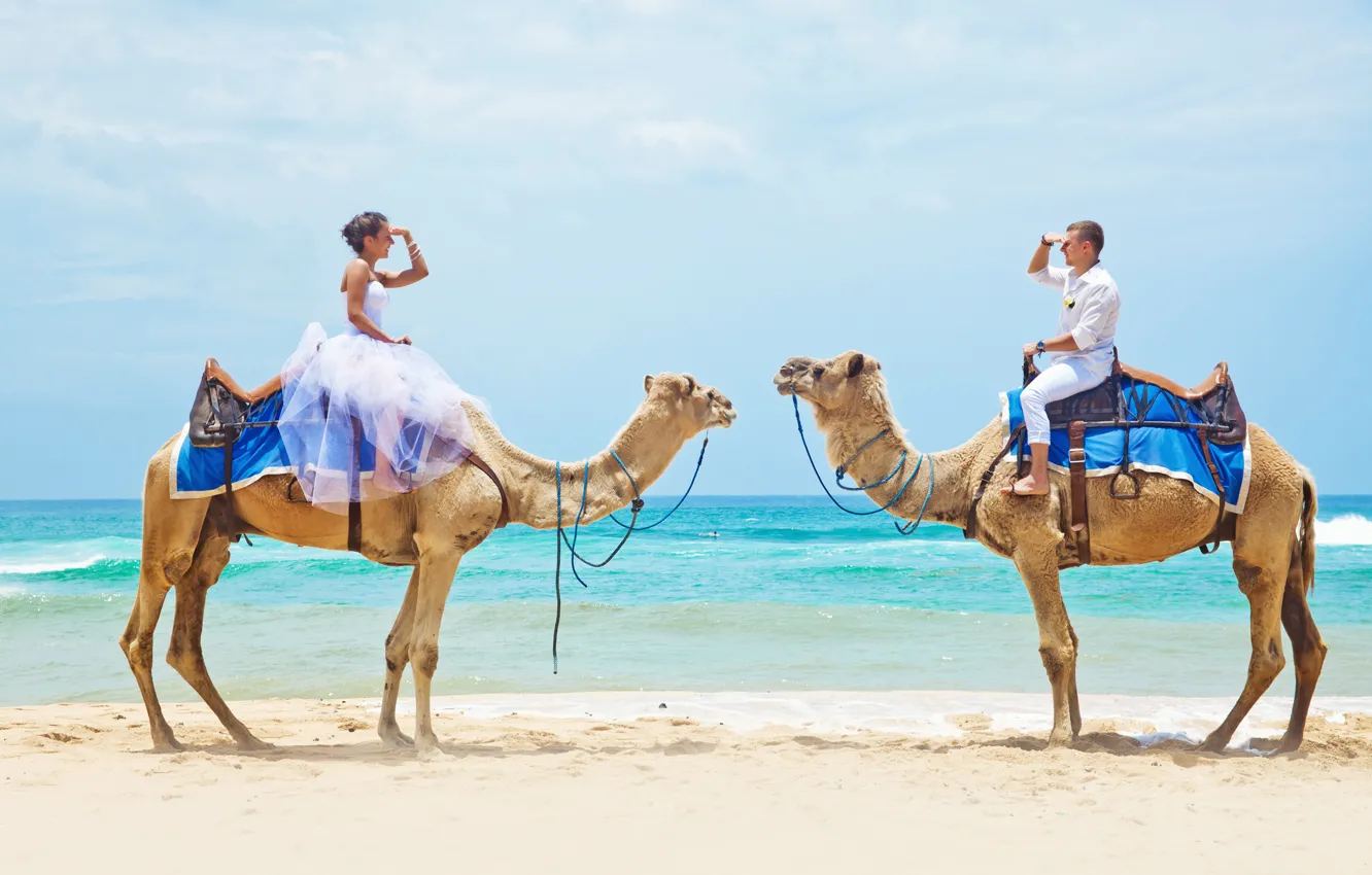 Фото обои море, пляж, верблюды, влюбленная пара