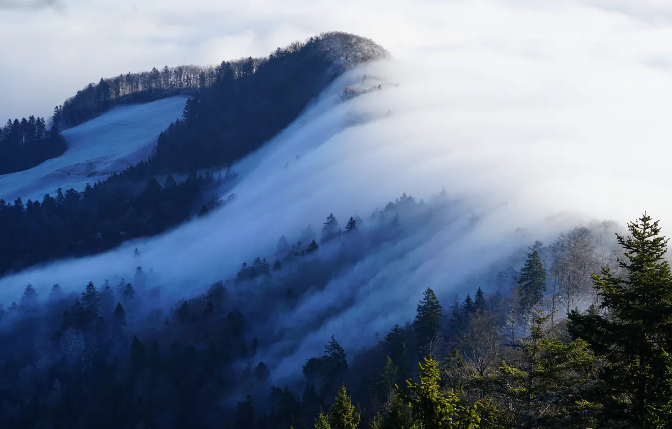 Фото обои зима, лес, солнце, снег, деревья, туман, гора, Швейцария