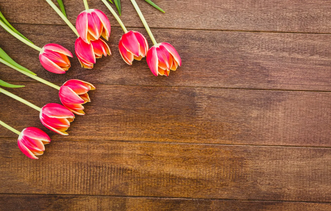 Фото обои цветы, букет, тюльпаны, красные, red, wood, flowers, tulips