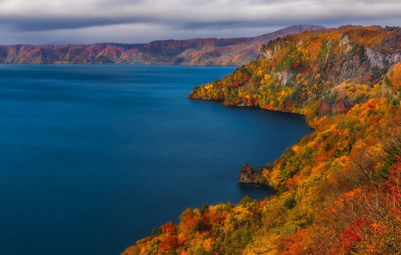 Фото обои Japan, forest, coast, water, autumn, leafs, lake Towada