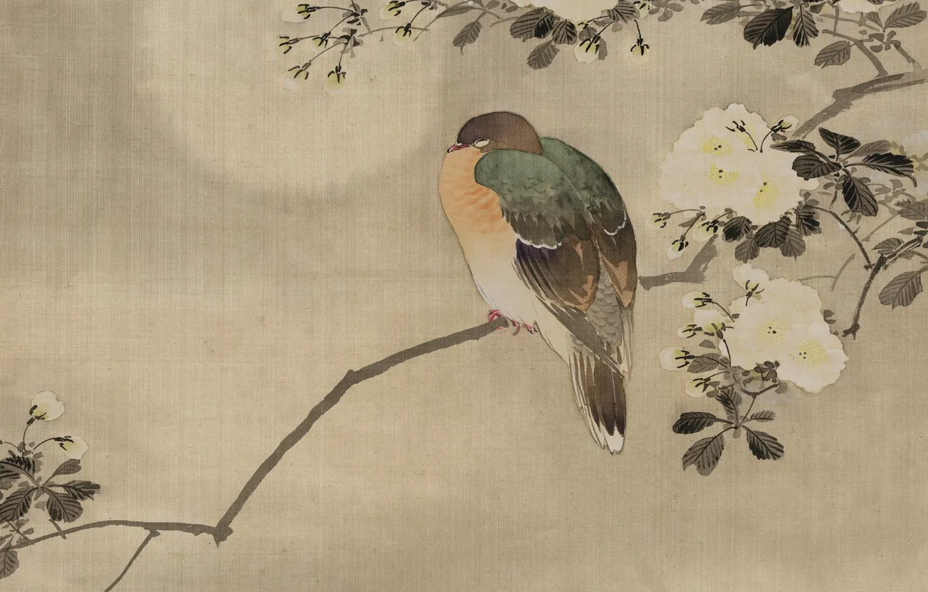 Фото обои листья, дерево, птица, листва, картина, Япония, акварель