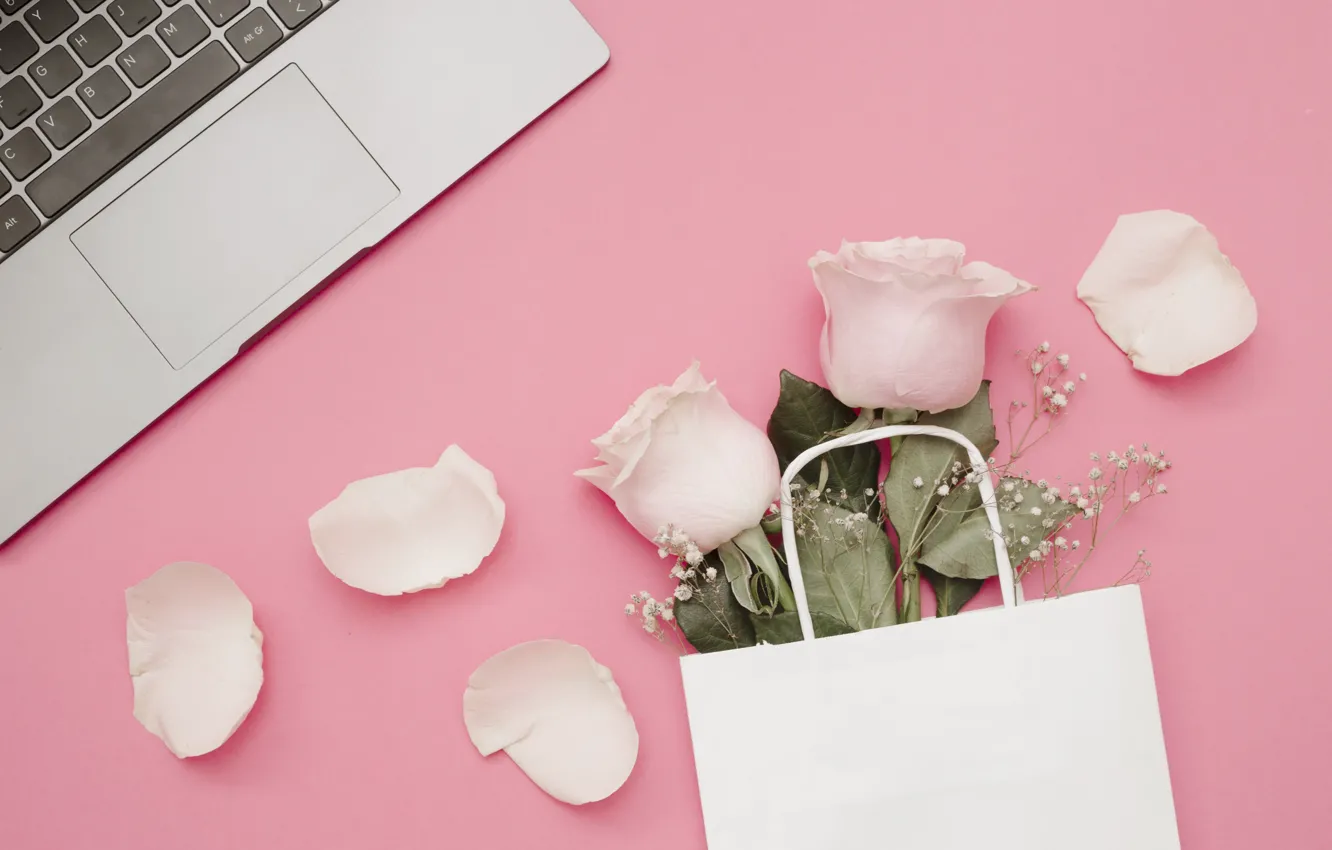 Фото обои цветы, фон, розовый, розы, лепестки, ноутбук, pink, flowers