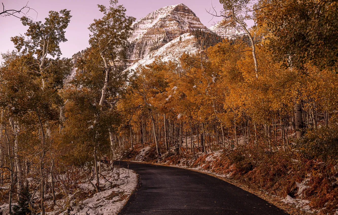 Фото обои дорога, осень, горы