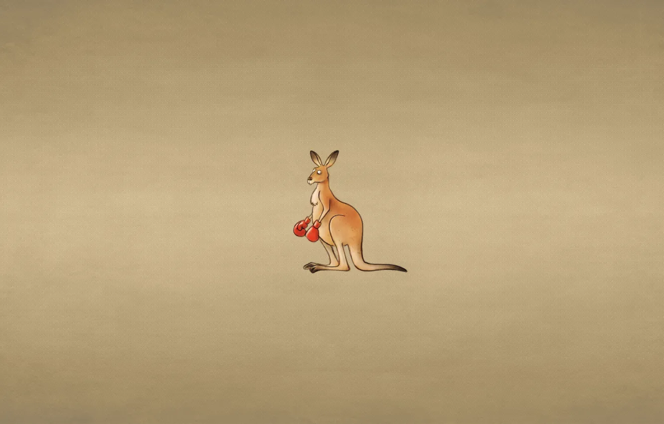 Фото обои животное, минимализм, кенгуру, боксерские перчатки, kangaroo, темноватый фон, проницательный взгляд
