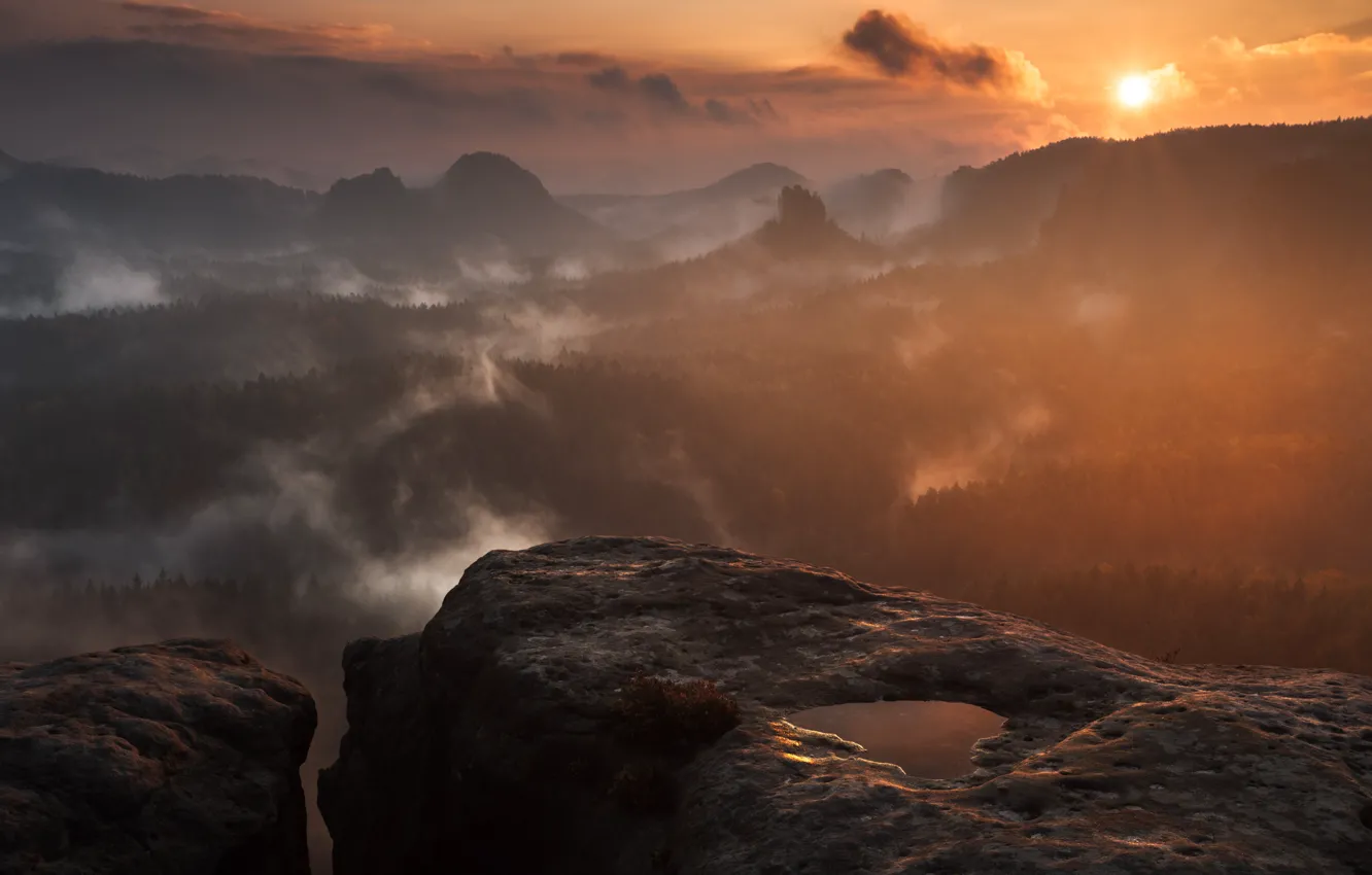 Фото обои лес, небо, солнце, облака, деревья, закат, горы, природа