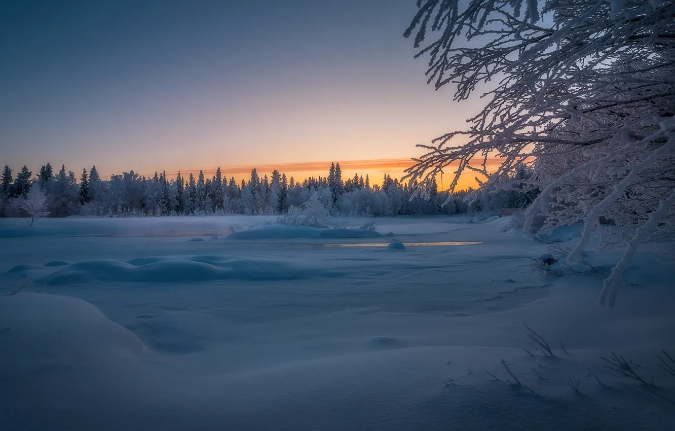 Фото обои зима, лес, снег, деревья, закат, река, Финляндия, Finland