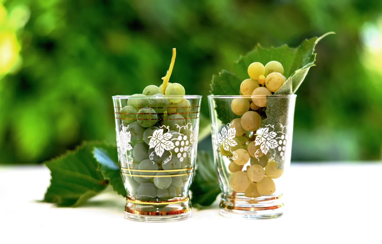 Фото обои листья, виноград, стаканы