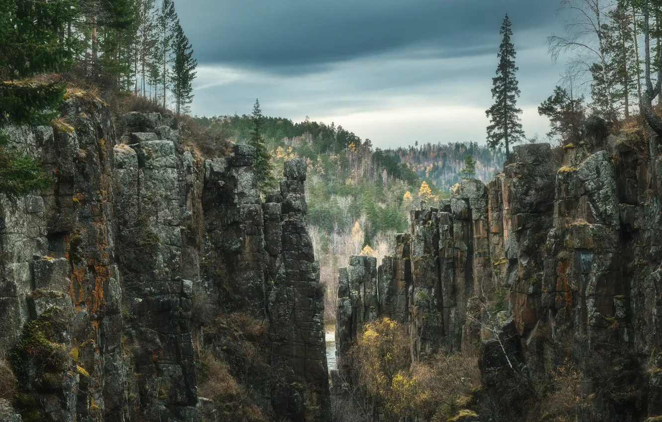 Фото обои пейзаж, природа, река, скалы, каньон, тайга, леса, Оборотов Алексей