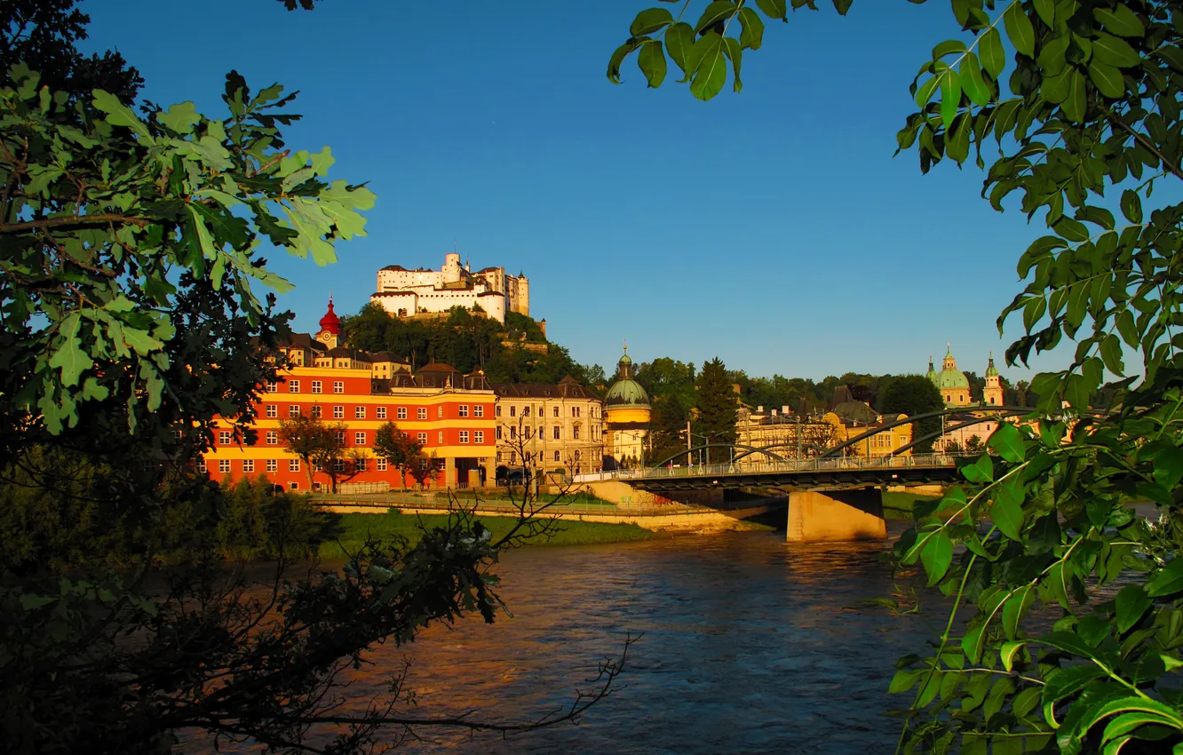 Фото обои ветки, мост, река, гора, дома, Австрия, крепость, Salzburg