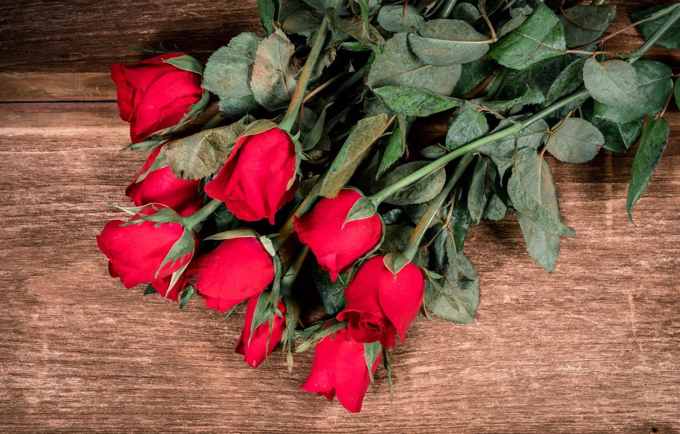 Фото обои цветы, розы, букет, красные, red, бутоны, wood, flowers