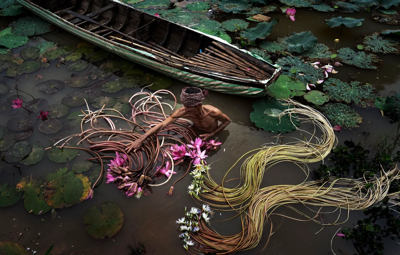 Фото обои озеро, лодка, мужчина, собиратель лилий