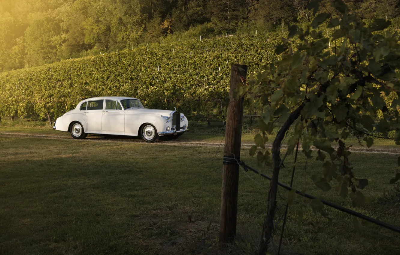 Фото обои car, Rolls-Royce, 1961, Ringbrothers, vineyards, Silver Cloud, Rolls-Royce Silver Cloud II, Rolls-Royce Silver Cloud II …