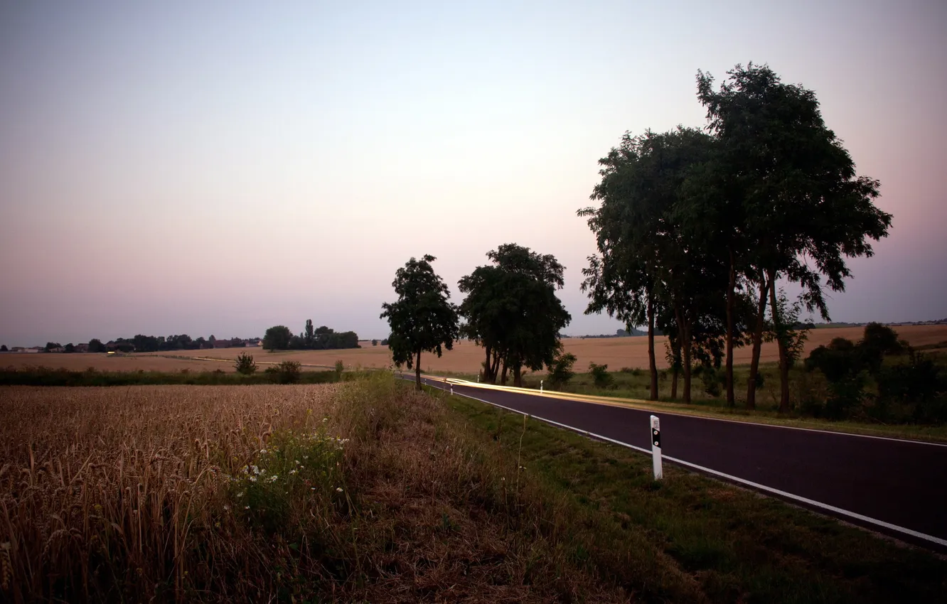 Фото обои дорога, поле, пейзаж