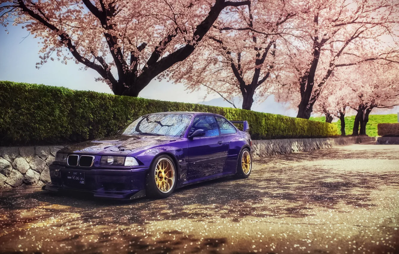 Фото обои весна, Япония, сакура, BMW, speedhunters, E36, Rocket Bunny, M3