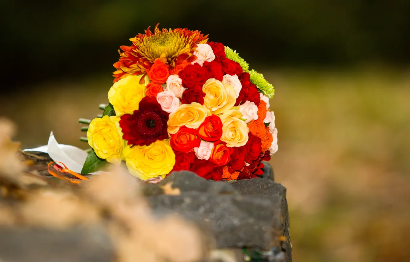 Фото обои осень, листья, цветы, фон, розы, букет, красиво, свадьба
