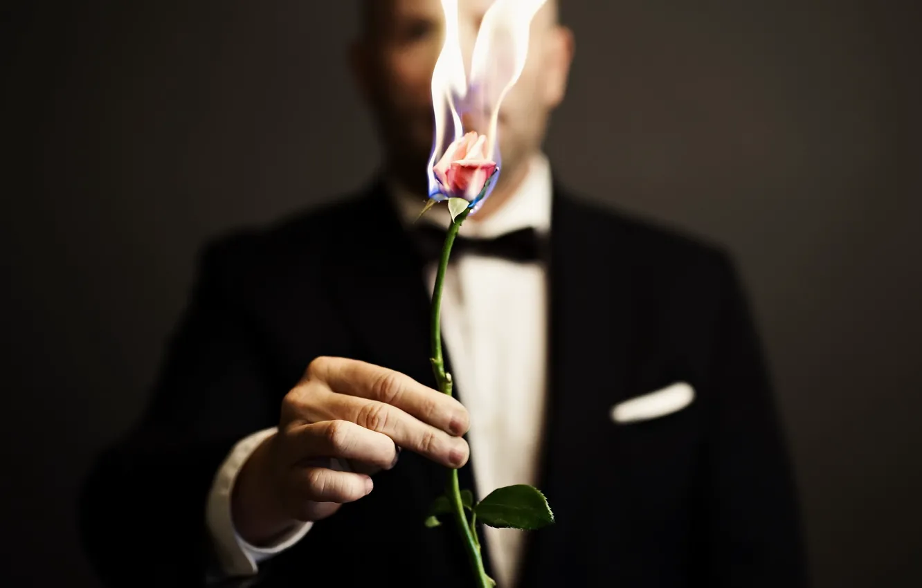 Фото обои огонь, роза, человек