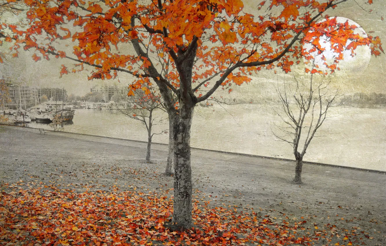 Фото обои осень, листья, деревья, город, коллаж, дома, Луна, набережная
