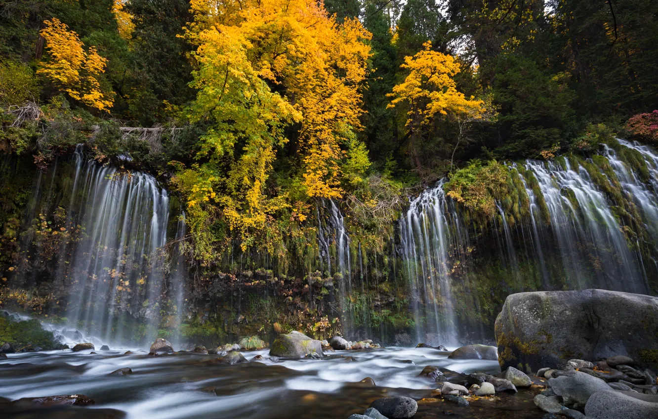 Фото обои осень, лес, деревья, река, камни, водопад, Калифорния, каскад